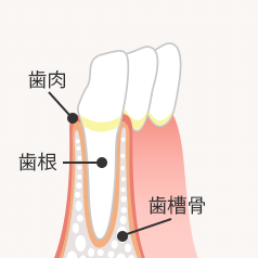 進行1